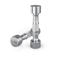 Гантель UNIX Fit PRO круглая хромированная 1 кг, 2 шт.